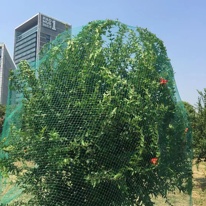 家用户外西红柿防鸟果园防鸟阳台防鸟网果园防鸟网花园果树防鸟网|msdalam kategori penghantaran bunga/bunga simulasi/tumbuhan berkebun, Gardening Supplies, Peralatan Perkebunan lain - dari Buy2taobao.com untuk memberikan perkhidmatan ejen Taobao profesional membeli