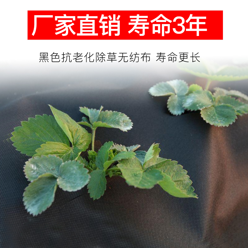 草地布除草垫布果园除草布膜土工布膜可定制农用抗老化园艺地布防|ruв категории доставка цветов/цветок моделирования/растения садоводства, садовых принадлежностей, других садовых принадлежностей - от Buy2taobao.com для оказания профессиональной услуги покупки агента Taobao