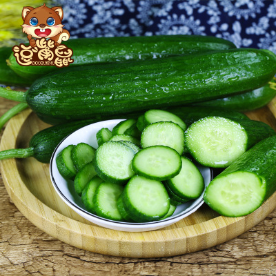 【逗嘴鼠_水果黄瓜】新鲜水果小黄瓜白玉青瓜孕妇生吃蔬菜5斤包邮
