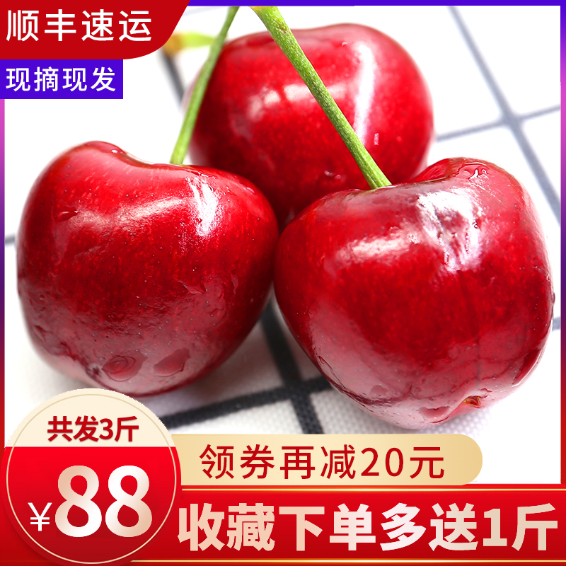 山东烟台大樱桃新鲜水果包邮现摘孕妇当季车厘子红灯樱桃3斤现货在类目 水产肉类/新鲜蔬果/熟食, 新鲜水果, 车厘子/樱桃中 - 来自Buy2taobao.com提供专业的淘宝代购服务