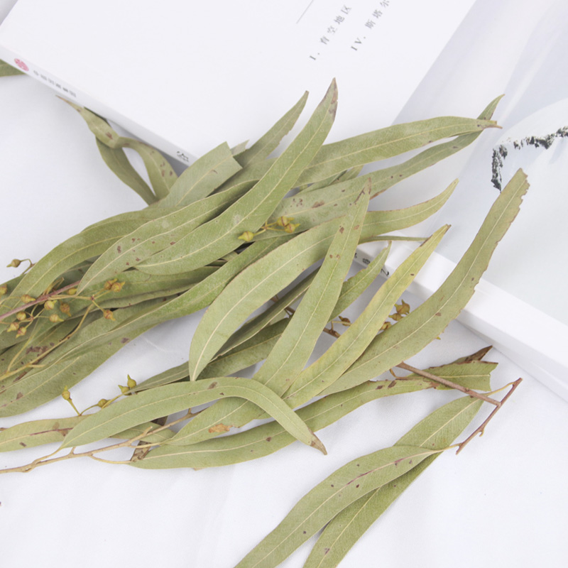 美沐儿 diy手工干花饰品小米果干叶装饰 diy干花相框天然干花花材|ruв категории Домашний быт, ваза/цветок/искусственные цветы/моделирование украшения, сушеные цветы/лепесток/сушеные цветы пакет/сухие ветки - от Buy2taobao.com для оказания профессиональной услуги покупки агента Taobao