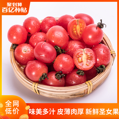 顺丰正常发货 新鲜蔬菜圣女果5斤番茄小西红柿非千禧水果整箱