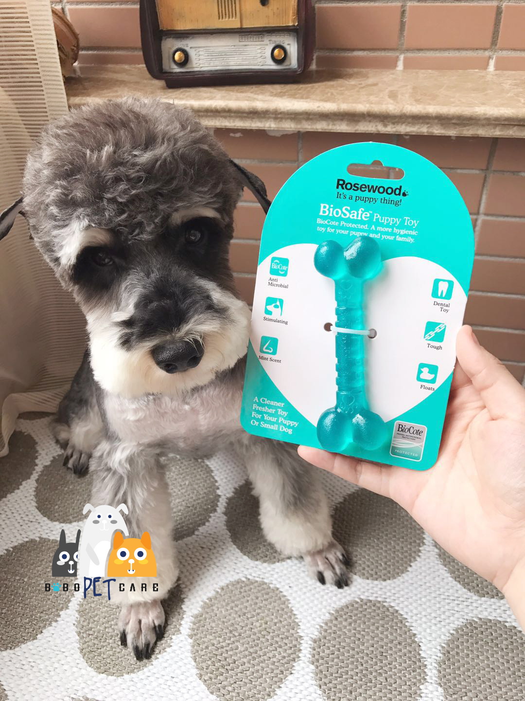 Japan Britain Pets Bone Toothpaste Elastic ball Dogs rubber Toys Puppies Molarin the Pet/Pet food and supplies , Cat/Dog Toys , Rubber Ball/Ball Toys category - from Buy2taobao.com to provide professional Taobao agent buy service