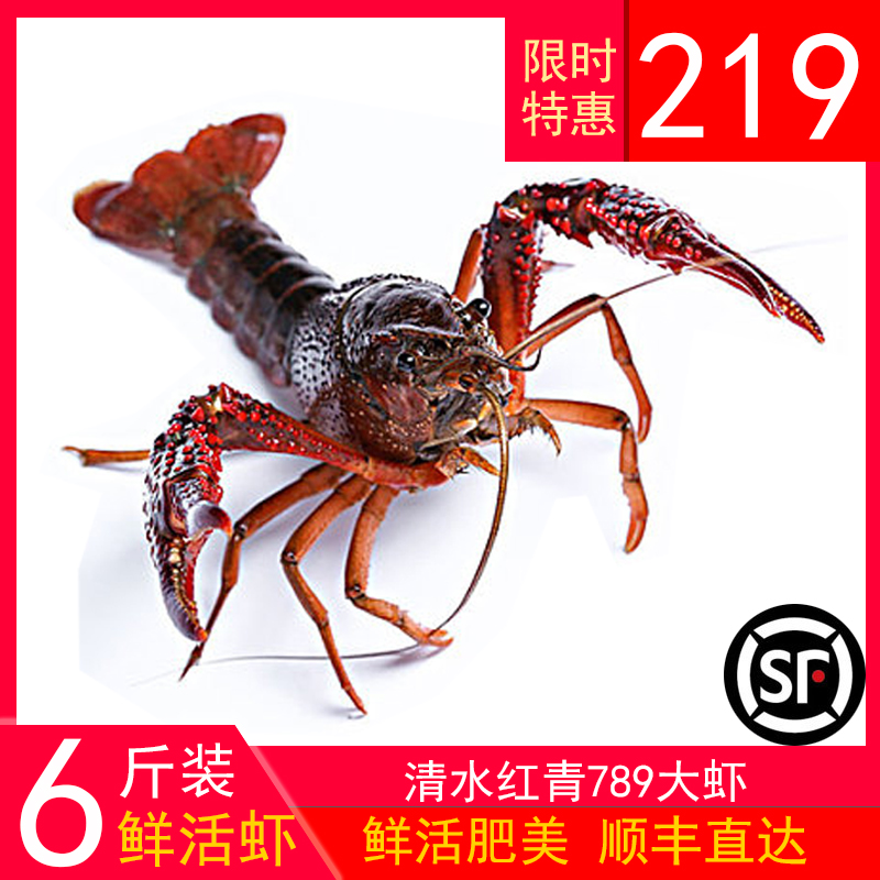 6斤装洪湖清水虾789钱红青小龙虾特大鲜活体新鲜活虾|msdalam kategori daging perikanan/Buah-buahan segar dan sayur-sayuran/dimasak, makanan laut/produk akuatik/produk, udang, udang Live - dari Buy2taobao.com untuk memberikan perkhidmatan ejen Taobao profesional membeli