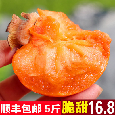 脆甜柿子甜硬柿子水果柿子不涩口柿子孕妇水果带箱5斤顺丰包邮