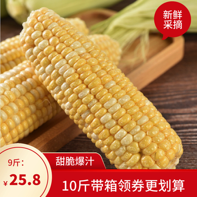 云南水果玉米10斤带箱生吃甜玉米棒可生吃苞谷苞米新鲜蔬菜非糯黏