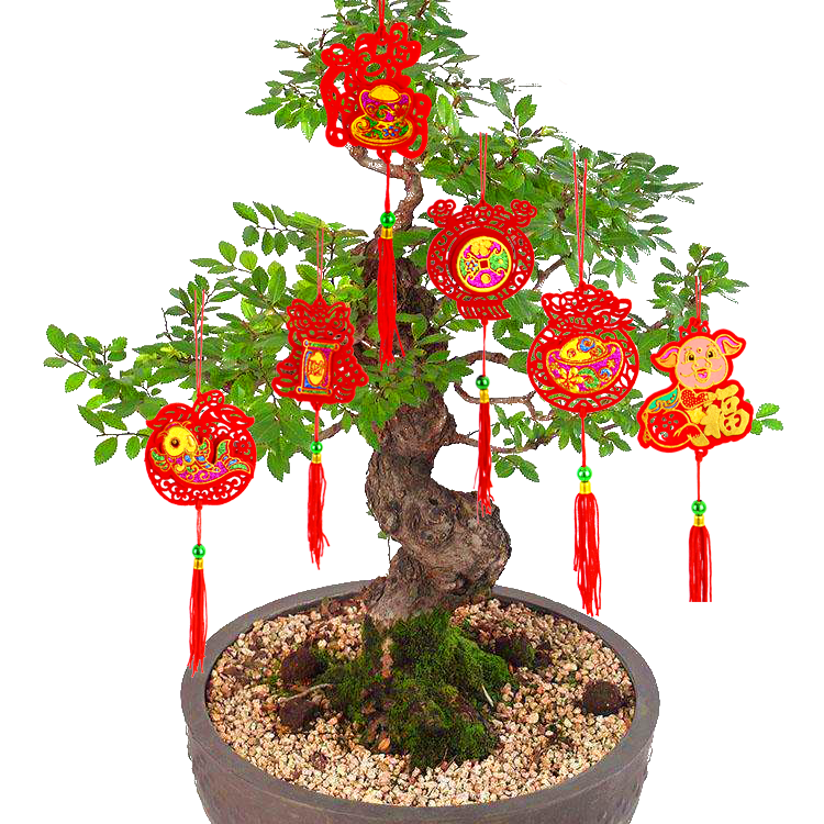 盆景小灯笼挂件 生肖挂饰 室内户外开业植物新年元旦过年装饰在类目 节庆用品/礼品, 挂饰/生肖挂饰中 - 来自Buy2taobao.com提供专业的淘宝代购服务
