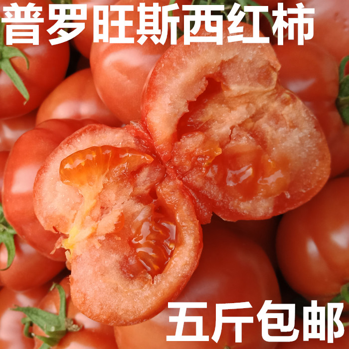 海阳普罗旺斯西红柿酸甜可口沙瓤皮薄多汁番茄水果5斤一箱包邮|ruв категории водной мясо/свежие фрукты и овощи/еда, свежие овощи/овощной продукции, свежие овощи, помидор - от Buy2taobao.com для оказания профессиональной услуги покупки агента Taobao