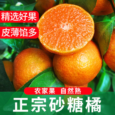 广西正宗砂糖橘子10斤包邮新鲜薄皮超甜整箱现摘水果砂糖桔子5斤