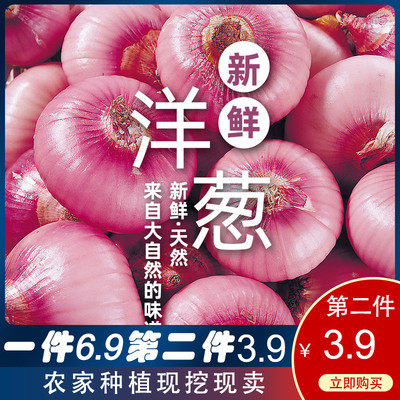 2020年现挖紫皮洋葱农家种植5斤批发蔬菜红皮洋葱鬼子葱圆葱