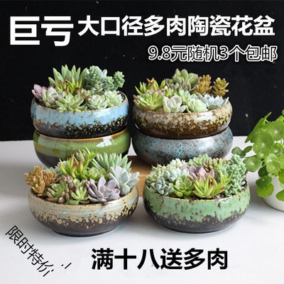 多肉植物花盆 大口径拼盘花盆 个性创意花盆窑变多肉老桩花盆包邮