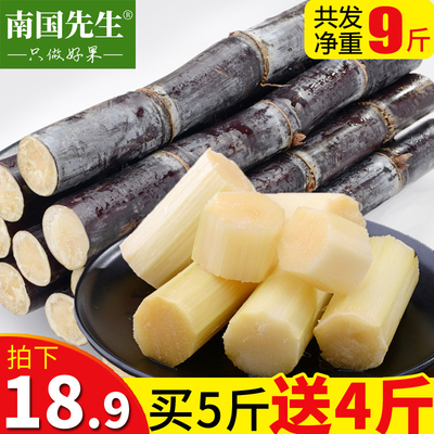 南国先生 广西黑皮甘蔗当季新鲜水果脆甜多汁现砍现发净重9斤包邮