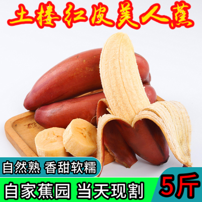 当天现割 红香蕉5斤现割福建土楼红皮香蕉新鲜水果天宝红皮banana