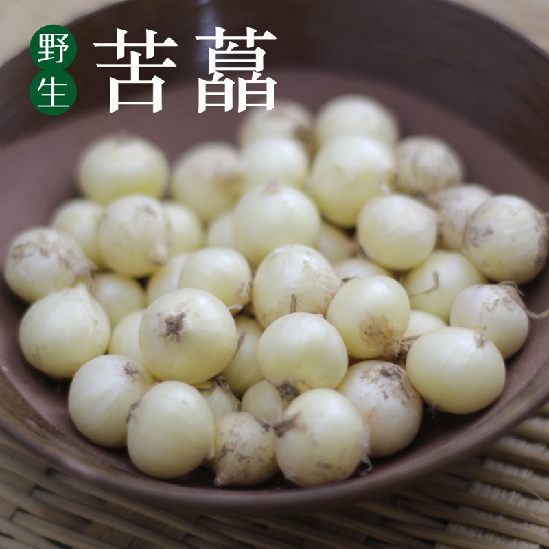 苦藠苦茭小蒜野葱薤白四川乐山特产田间地角河滩自然生长五斤包邮在类目 水产肉类/新鲜蔬果/熟食, 新鲜蔬菜/蔬菜制品, 新鲜蔬菜, 其它中 - 来自Buy2taobao.com提供专业的淘宝代购服务