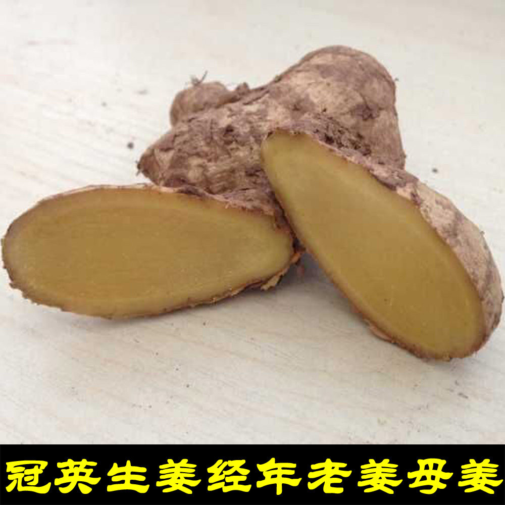 四川乐山特产冠英生姜小黄姜老姜母姜土姜月子姜原始点姜新鲜生姜在类目 水产肉类/新鲜蔬果/熟食, 新鲜蔬菜/蔬菜制品, 新鲜蔬菜, 其它中 - 来自Buy2taobao.com提供专业的淘宝代购服务