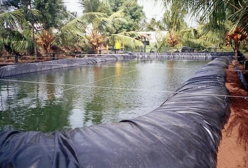 Plastic film Geomembrane Fish Pond fish Dedicated Seepage Waterproof membrane Aquatic products breed Plastic sheetingin the Agricultural Machinery/Farm tools/Plastic sheeting , Plastic sheeting/Tarpaulin/Network cover/Greenhouse , Agricultural film category - from Buy2taobao.com to provide professional Taobao agent buy service