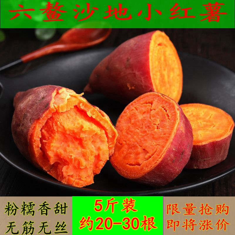 六鳌地瓜 小红薯5斤新鲜现挖沙地红薯非临安天目山板栗番薯|msdalam kategori daging perikanan/Buah-buahan segar dan sayur-sayuran/dimasak, sayur-sayuran segar/Vegetable Products, sayur-sayuran segar, ubi keledek - dari Buy2taobao.com untuk memberikan perkhidmatan ejen Taobao profesional membeli
