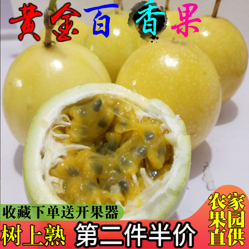 福建土楼黄金百香果新鲜当季西番莲鸡蛋孕妇水果1.5斤装芭乐香味|msdalam kategori daging perikanan/Buah-buahan segar dan sayur-sayuran/dimasak, buah-buahan segar, Passion Fruit - dari Buy2taobao.com untuk memberikan perkhidmatan ejen Taobao profesional membeli