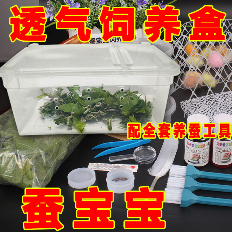 蚕宝宝套装送活蚕新鲜桑叶饲养盒蚕卵爬宠箱蚕饲料蚕别墅带盖透气在类目 宠物/宠物食品及用品, 水族世界, 鱼缸等水族设备, 鱼缸/水族箱中 - 来自Buy2taobao.com提供专业的淘宝代购服务