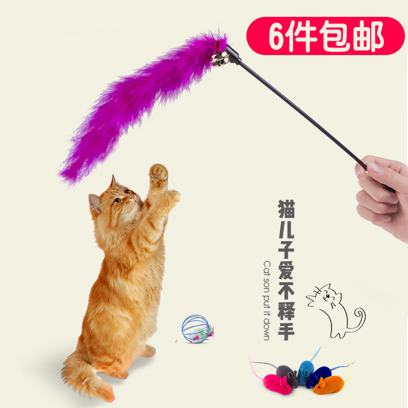 猫玩具鱼剑麻球逗猫棒仿真老鼠不倒翁宠物小猫幼猫咪用品6件包邮在类目 宠物/宠物食品及用品, 猫/狗玩具, 逗猫棒中 - 来自Buy2taobao.com提供专业的淘宝代购服务