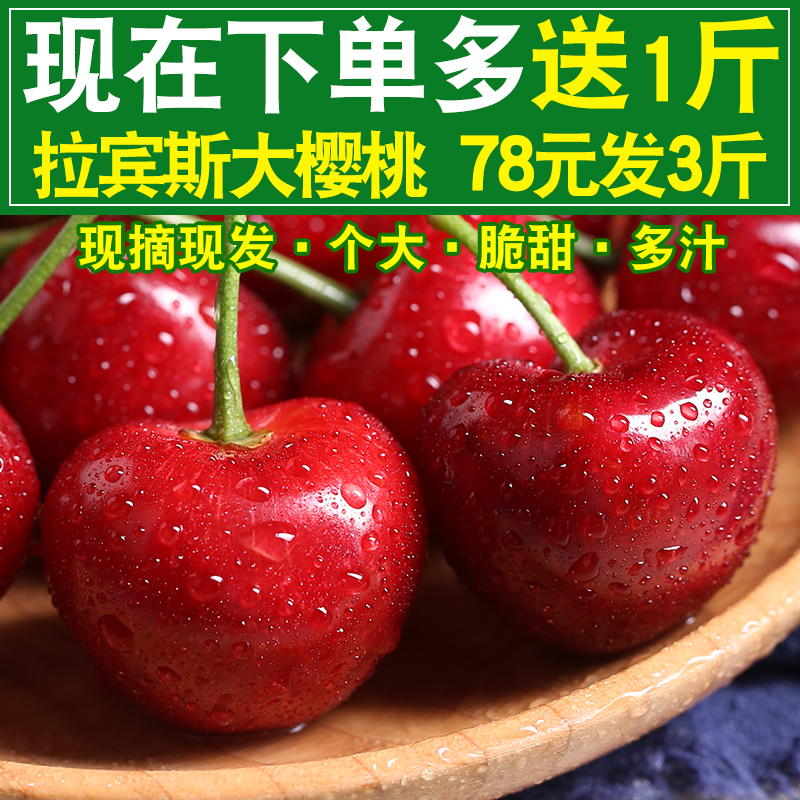 Now pick Now send Yantai Cherry 3 Season Cherry fresh fruit Shandong Lapins Meizao Cherry 5in the Aquatic meat/Fresh fruits and vegetables/Cooked , Fresh fruit , Cherries/Cherry category - from Buy2taobao.com to provide professional Taobao agent buy service