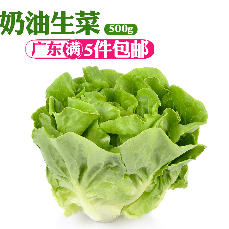 新鮮奶油生菜沙拉蔬菜葉質脆嫩口感西餐沙拉蔬菜500g即食清洗生菜在類目 水產肉類/新鮮蔬果/熟食, 新鮮蔬菜/蔬菜製品, 新鮮蔬菜, 其它中 - 來自Buy2taobao.com提供專業的淘寶代購服務