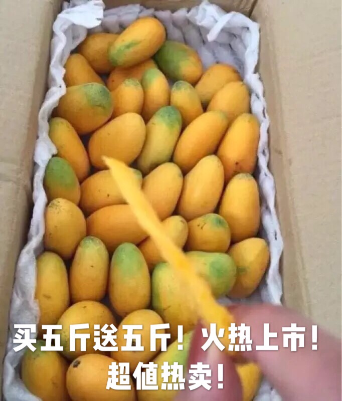 fresh Mango Small farmer Guangxi Baise Mango Small farmer 10 Pounds loaded goods in stockin the Aquatic meat/Fresh fruits and vegetables/Cooked , Fresh fruit , Mango category - from Buy2taobao.com to provide professional Taobao agent buy service