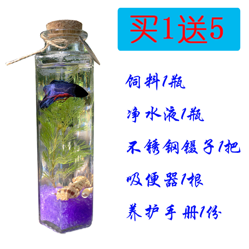 Water ecology Fish bottle Aquarium Pets Betta living thing DIY Decoration Aquatic herb Betta Glass fish tankin the Pet/Pet food and supplies , Aqua World , Fish category - from Buy2taobao.com to provide professional Taobao agent buy service