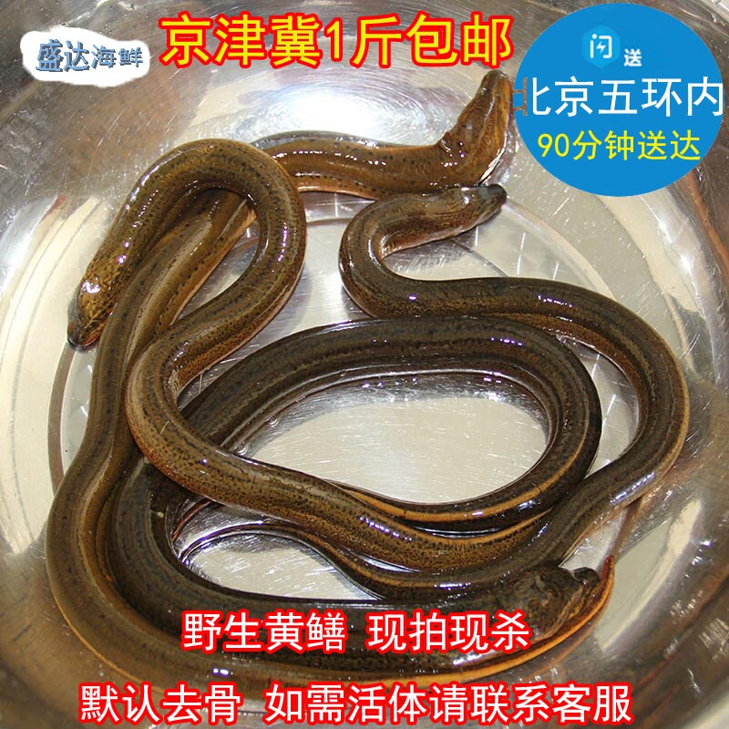 北京闪送鲜活现杀野生黄鳝活体鳝鱼长鱼黄鳝鱼淡水河鲜水产500g在类目 水产肉类/新鲜蔬果/熟食, 海鲜/水产品/制品, 淡水鱼类中 - 来自Buy2taobao.com提供专业的淘宝代购服务
