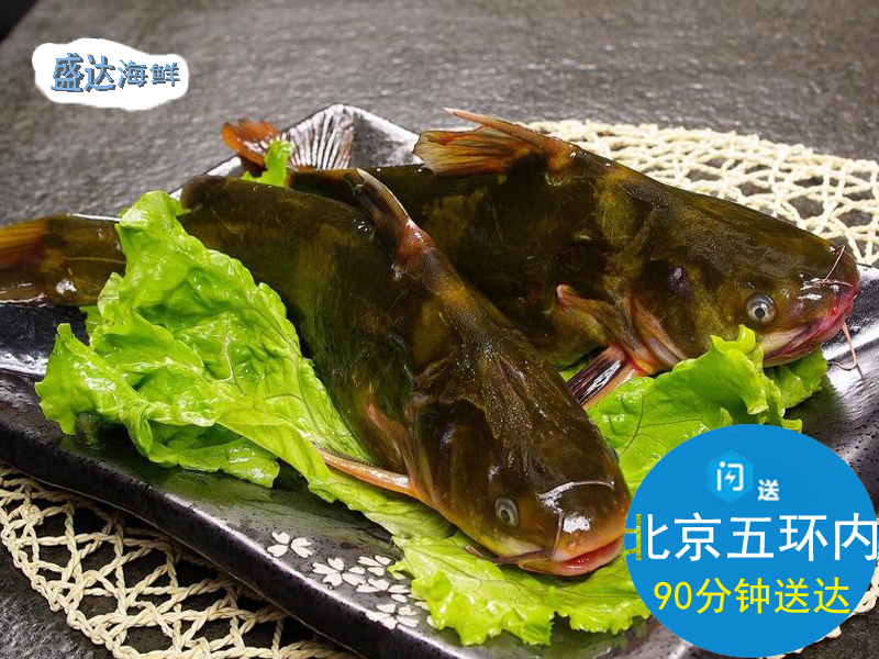 嘎鱼鲜活 昂刺鱼黄颡鱼黄角丁黄骨鱼黄辣丁活体淡水河鲜水产500g在类目 水产肉类/新鲜蔬果/熟食, 海鲜/水产品/制品, 淡水鱼类中 - 来自Buy2taobao.com提供专业的淘宝代购服务
