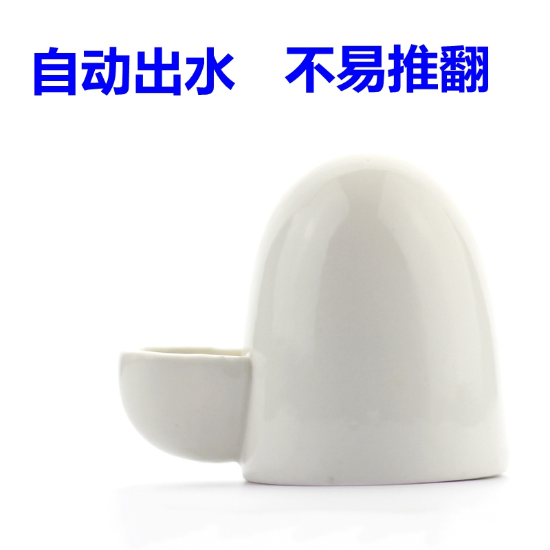 非迷刺猬靜音水壺 寵物陶瓷飲水器 倉鼠 非迷小寵自動喂水器在類目 寵物/寵物食品及用品, 其它寵物, 其它寵物用具中 - 來自Buy2taobao.com提供專業的淘寶代購服務