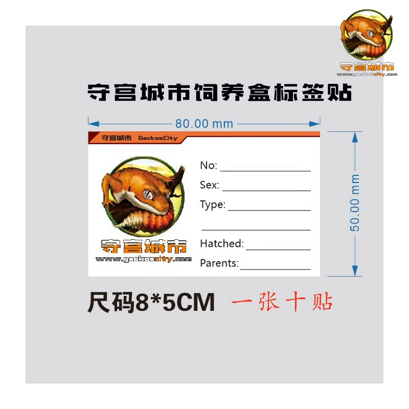 守宫城市原创爬宠饲养盒标签贴可移除无痕标pvc签贴豹纹瘤尾灯虫在类目 宠物/宠物食品及用品, 爬虫/鸣虫及其用品, 爬虫/鸣虫用具中 - 来自Buy2taobao.com提供专业的淘宝代购服务