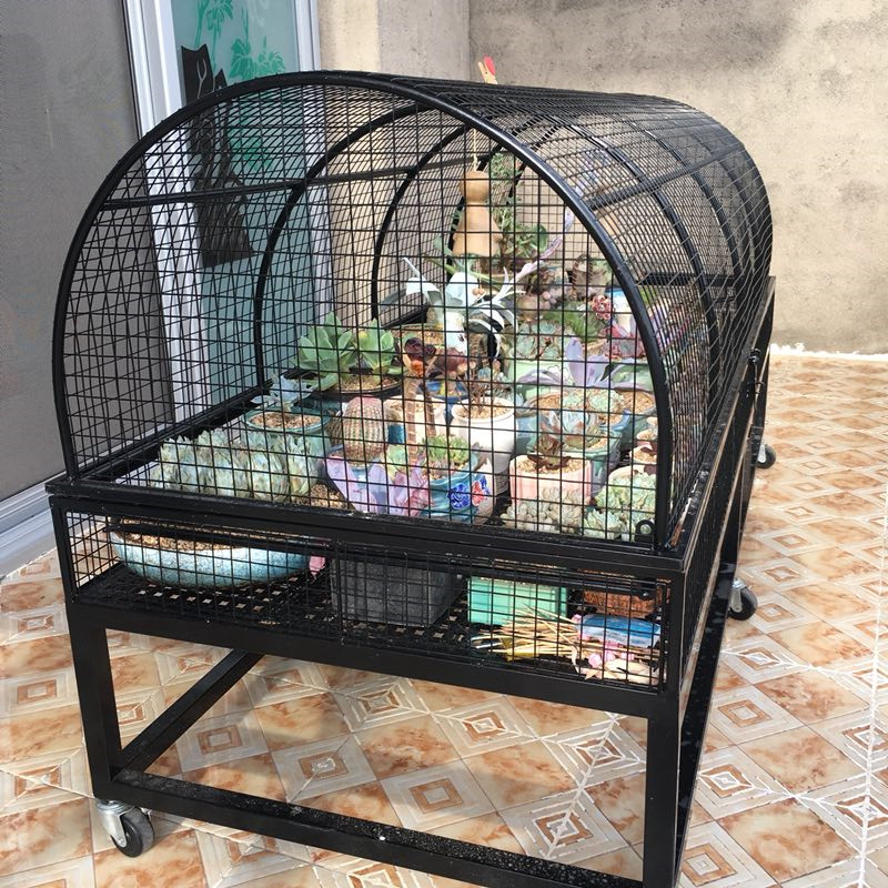 多肉防盗花架阳台露养铁艺花架子花盆架户外铁笼子防鼠防鸟植物架在类目 住宅家具, 架类, 花架/花几中 - 来自Buy2taobao.com提供专业的淘宝代购服务