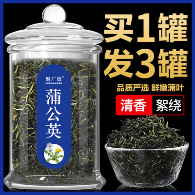 蒲公英茶野生天然正品特级茶叶整根婆婆丁新鲜蒲公英浦公英干花茶