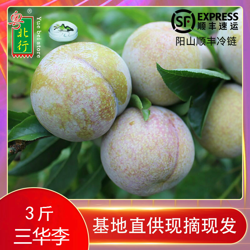 粤北行 三华李 韶关爽脆福寿红心李 广东新鲜孕妇李子现发3斤中果在类目 水产肉类/新鲜蔬果/熟食, 新鲜水果, 李子中 - 来自Buy2taobao.com提供专业的淘宝代购服务