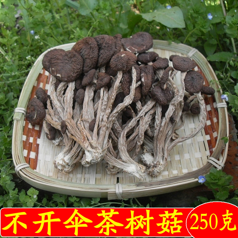 新货茶树菇 农家自产茶薪菇蘑菇土特产头插不开伞茶树菇干货250克在类目 粮油米面/南北干货/调味品, 南北干货/肉类干货, 干货/土特产, 香菇类中 - 来自Buy2taobao.com提供专业的淘宝代购服务