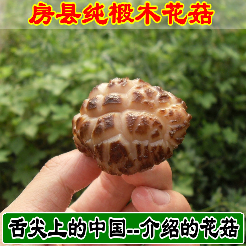 Shennongjia Housing County wild Basswood Flower Mushroom dried food Basswood mushrooms Mushroom mushroom Flower Mushroom Mushroom Nativein the Agri rice/Dried foods/Condiment , Dried foods/Meat Dry , Dry/Native , Mushroom category category - from Buy2taobao.com to provide professional Taobao agent buy service
