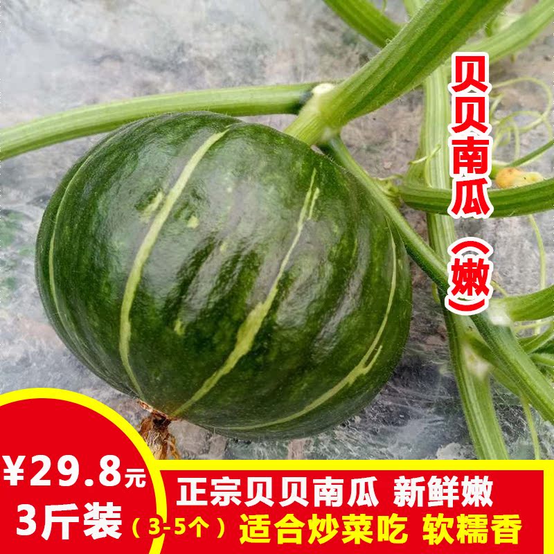 贝贝南瓜嫩贝贝小南瓜3斤宝宝辅食软糯不面在类目 水产肉类/新鲜蔬果/熟食, 新鲜蔬菜/蔬菜制品, 新鲜蔬菜, 其它中 - 来自Buy2taobao.com提供专业的淘宝代购服务