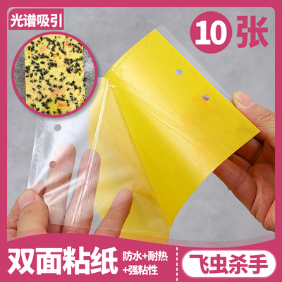 苍蝇胶纸消灭蚊子小飞虫神器苍蝇贴强力粘粘蝇板帖餐厅家用一扫光