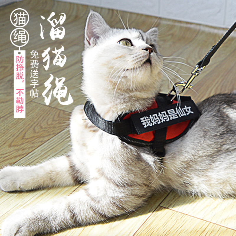猫咪牵引绳防挣脱专用遛猫绳家用溜猫绳子神器拴外出牵小奶猫幼猫|ruв категории животное/Животное питание и принадлежностей, кошка/собака товаров, бытовой натяжного ремня - от Buy2taobao.com для оказания профессиональной услуги покупки агента Taobao