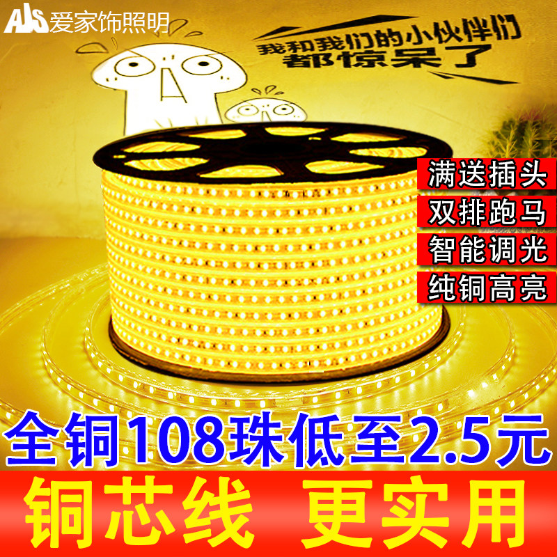 灯带LED客厅吊顶220v双排3014/2835超高亮七彩户外防水贴片软灯条