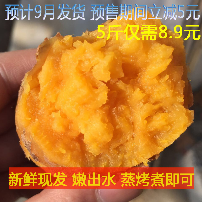 5斤裝香甜軟糯黃心番薯農家自種紅薯非紅心地瓜香薯燒烤蒸煮在類目 水產肉類/新鮮蔬果/熟食, 新鮮蔬菜/蔬菜製品, 新鮮蔬菜, 番薯中 - 來自Buy2taobao.com提供專業的淘寶代購服務