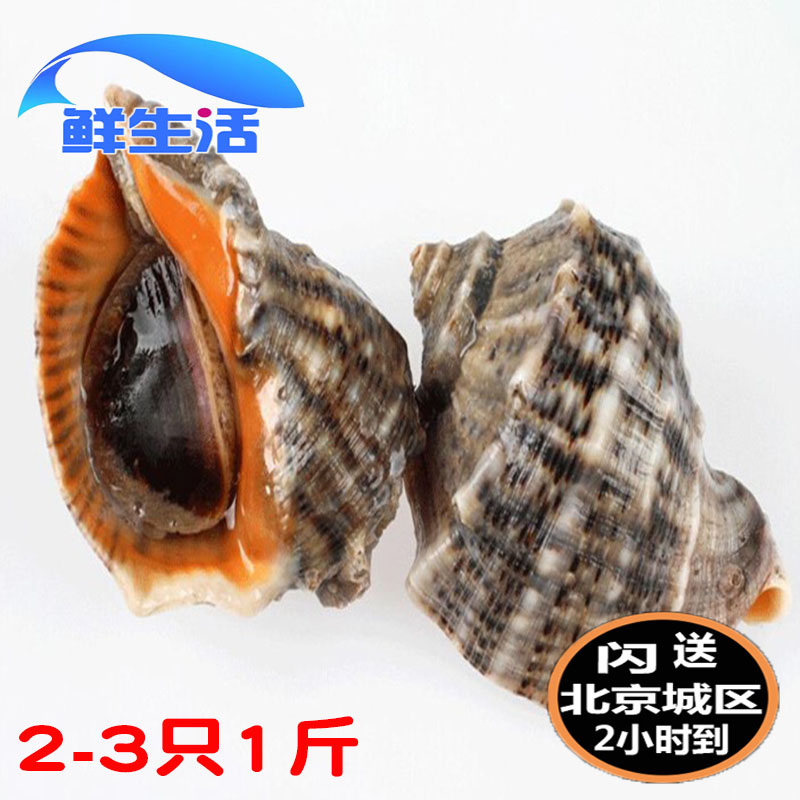 鲜活天然大海螺野生大海螺1斤两只左右花螺海螺新鲜海鲜水产现货|msdalam kategori daging perikanan/Buah-buahan segar dan sayur-sayuran/dimasak, makanan laut/produk akuatik/produk, kerang, produk kerang - dari Buy2taobao.com untuk memberikan perkhidmatan ejen Taobao profesional membeli