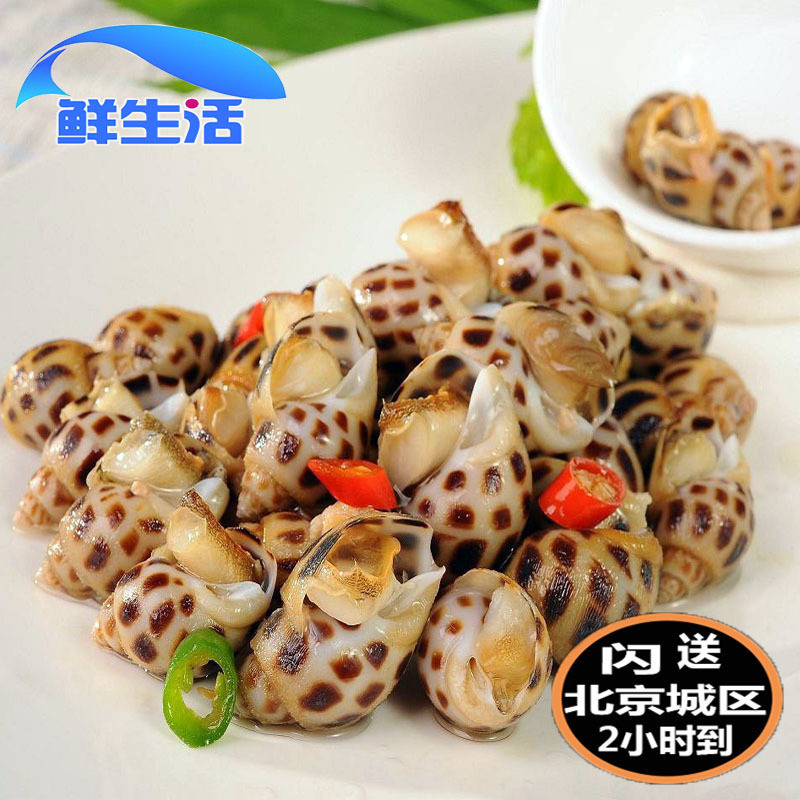 鲜生活 500g 新鲜 花螺 鲜活海鲜水产东风螺海猪南风螺海螺贝类|msdalam kategori daging perikanan/Buah-buahan segar dan sayur-sayuran/dimasak, makanan laut/produk akuatik/produk, kerang, produk kerang - dari Buy2taobao.com untuk memberikan perkhidmatan ejen Taobao profesional membeli