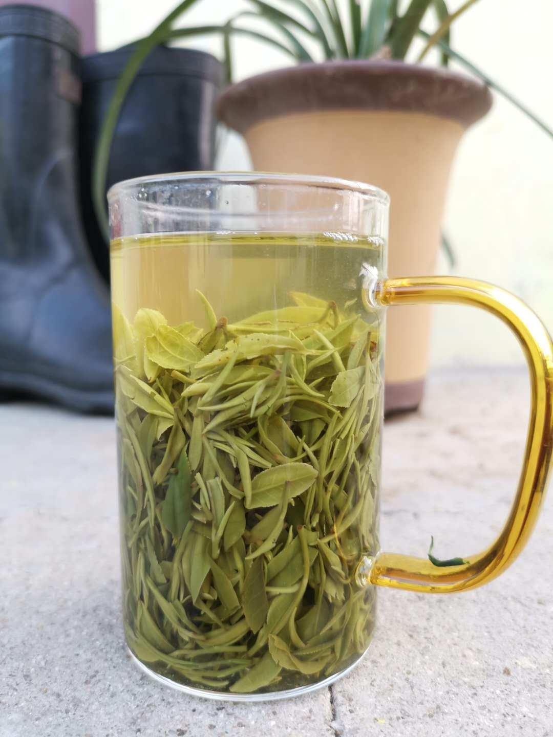2019新茶闵顺强信阳毛尖雨前后期中后期口粮茶寨灵寺高山茶半斤装|ruв категории чай, зеленый чай (новый), Синьян - от Buy2taobao.com для оказания профессиональной услуги покупки агента Taobao