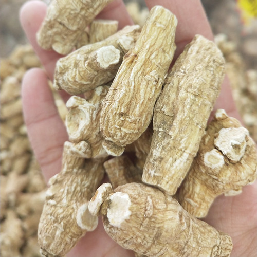 加拿大进口西洋参7克粒头美国整枝花旗参段片个丁非东北250克包邮|ruв категории традиционные питательный пища, женьшень класса тоник, женьшень - от Buy2taobao.com для оказания профессиональной услуги покупки агента Taobao