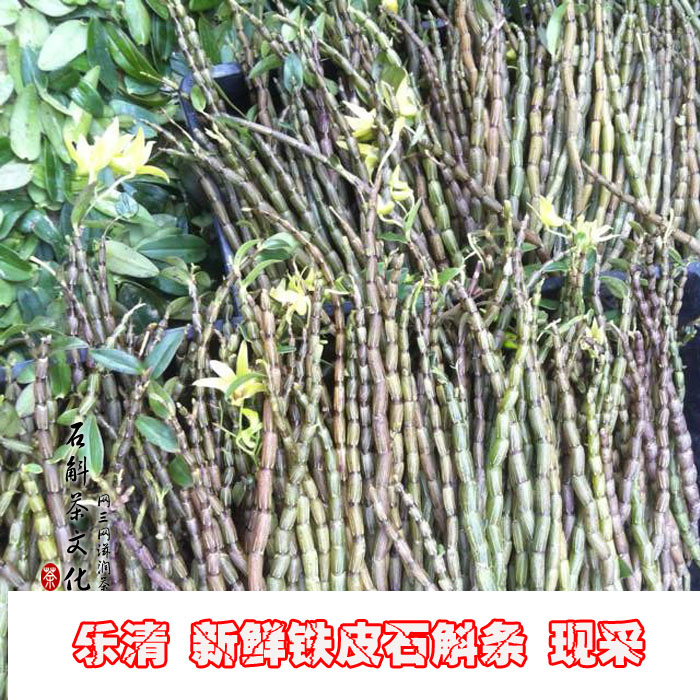 乐清雁荡山现采新鲜铁皮石斛鲜条铁皮枫斗条 滋补胶多石斛苗500克在类目 传统滋补营养品, 石斛/枫斗中 - 来自Buy2taobao.com提供专业的淘宝代购服务