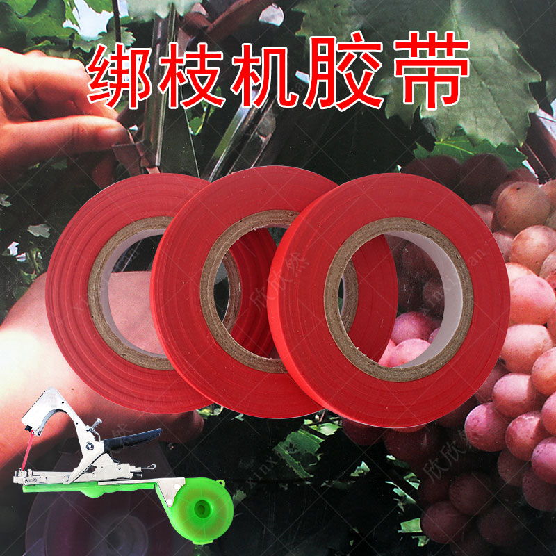 绑枝机 绑蔓机绑枝器绑带胶带 葡萄绑蔓带 绑枝带结束钉胶带在类目 鲜花速递/花卉仿真/绿植园艺, 园艺用品, 其它园艺用品中 - 来自Buy2taobao.com提供专业的淘宝代购服务