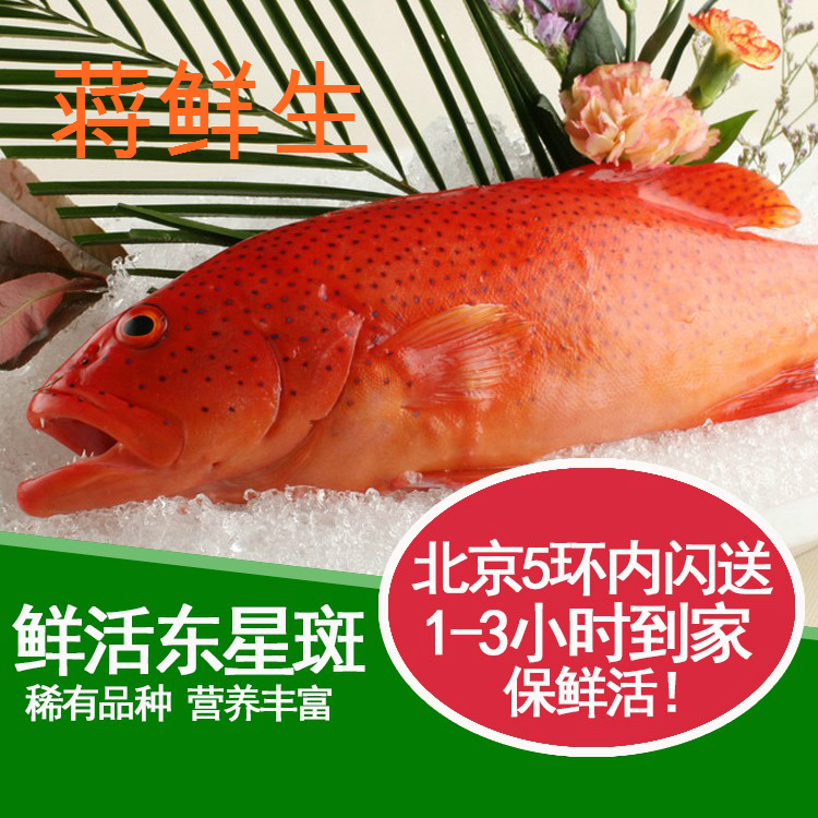 深海东星斑(红) 鲜活 北京市区送货上门 元/500g在类目 水产肉类/新鲜蔬果/熟食, 海鲜/水产品/制品, 其它中 - 来自Buy2taobao.com提供专业的淘宝代购服务
