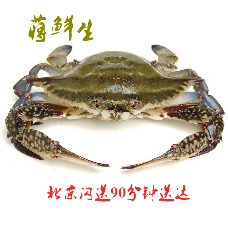 鮮活滿黃滿膏梭子蟹母螃蟹野生海蟹紅膏蟹4-5兩每只保證滿黃在類目 水產肉類/新鮮蔬果/熟食, 海鮮/水產品/製品, 蟹類, 蟹類製品中 - 來自Buy2taobao.com提供專業的淘寶代購服務